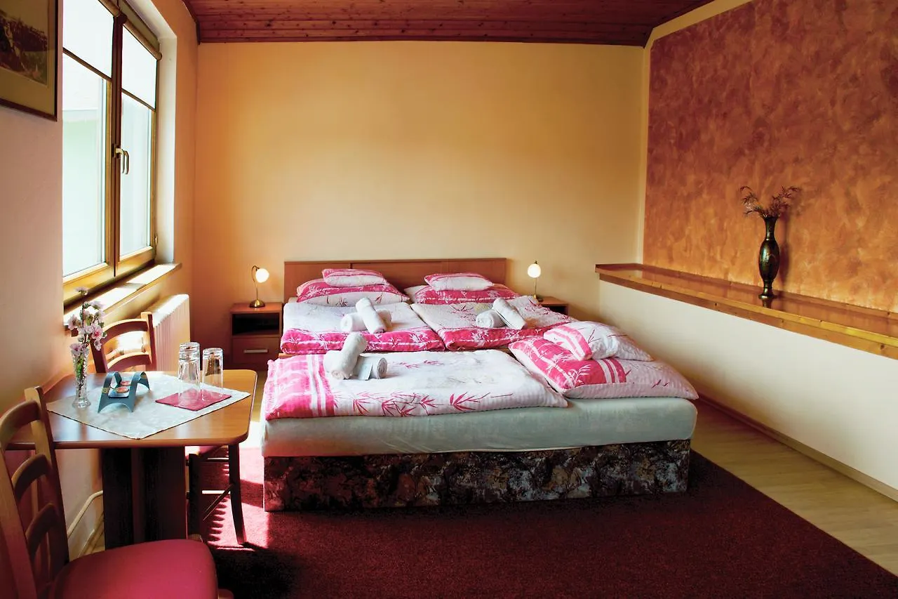 Pension Lukas Karlovy Vary 3*,